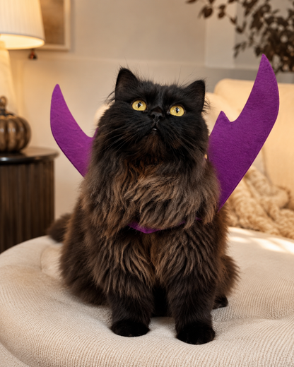 Wholesale Cute Cat Cosplay Costume Black Bat Wings Safety Belt Role Playing Pet Cat Dog Halloween Party Decoration Supplies